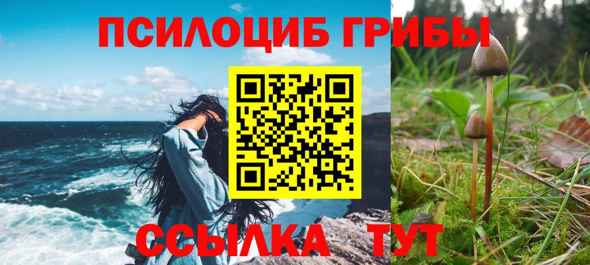 Галлюциногенные грибы MAGIC MUSHROOMS  Вход с VPN  Нефтекамск  Псилоцибиновые грибы Cubensis 